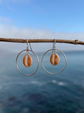 Cowrie Hoop Earrings